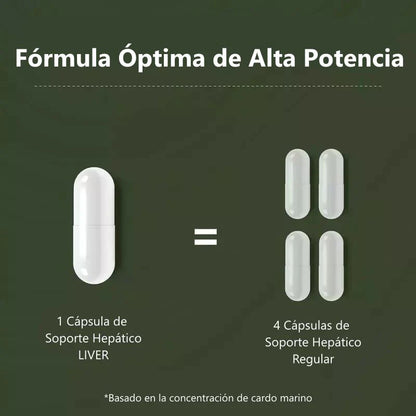 LIVER™ – DESINTOXICACIÓN HEPÁTICA EN SOLO 7 DÍAS (70 cápsulas)